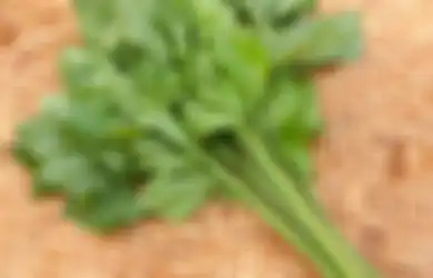Ini Manfaat Tanaman Obat Daun Seledri, Termasuk Dukung Kesehatan Pencernaan