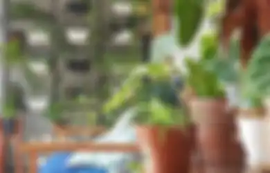 Tambahkan 3 Hal Ini pada Teras Rumah, Suasana Pun Berubah Seketika