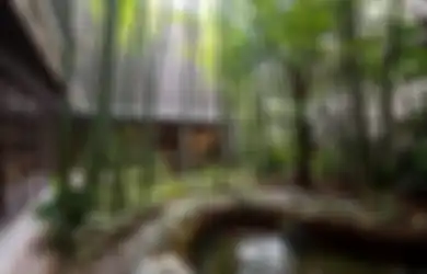 Ketahui Lebih dalam Mengenai Bioengineering, Solusi Bangun Rumah di Lahan Miring