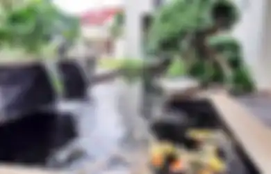 Cara Praktis Atasi Kolam Ikan Koi yang Bocor, Lakukan Langkah Ini!