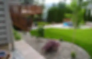 Tips Merawat Taman di Kala Hujan, Perangi Jamur, Genangan, dan Gulma