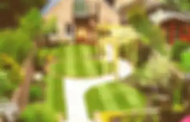 Focal Point Bikin Taman Makin Asyik Dinikmati, Ini Langkah Membuatnya!