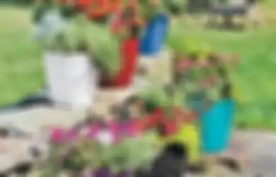 Libatkan Anak Saat Lakukan Aktivitas Berkebun, Ini Manfaatnya!