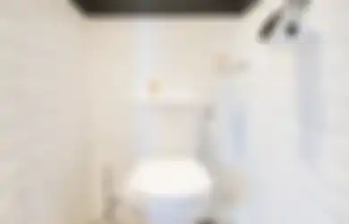 Dinding WC Berhadapan dengan Pintu Masuk Dapat Berdampak Buruk, Ini Kata Ahli!