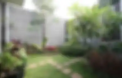 5 Syarat Menanam dan Merawat Rumput agar Tumbuh Subur dan Lebat