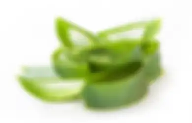 Rambut Cepat Panjang Cuma Bermodalkan Aloe Vera. Gini Lho Caranya!