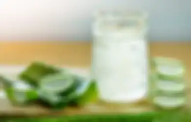 Kaya Manfaat, 5 Kegunaan Aloe Vera Ini Jangan Sampai Dilewatkan!