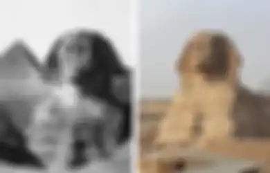 Tahukah Anda Siapa yang Patahkan Hidung  Sphinx  Agung Giza di Mesir, Mitos Sebutkan Karena Kesalahan Pasukan Napoleon Bonaparte, Benarkah?