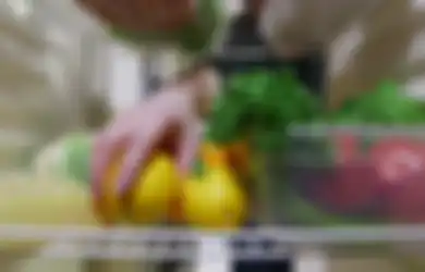 5 Hal ini Dapat Membuat Kulkas Tak Dingin Bahkan Rusak, Stop Mulai dari Sekarang