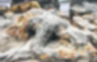Terjadi Pertama Kalinya, Heboh Batu Malin Kundang Terendam Air Laut, Sejarawan Bongkar Fakta Mengejutkan Singgung Soal Settingan