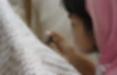 Menelusuri Kisah Pelestari Batik di Pecinan Lasem, Simak Kabar Terakhirnya 