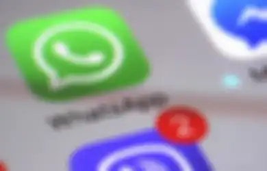 Cara Unduh Status WhatsApp Orang Lain Tanpa Aplikasi dan Pakai Aplikasi, Banyak yang Unik dan Lucu Loh!