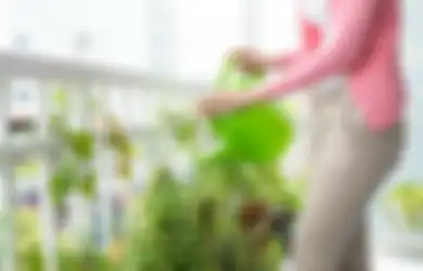 Tak Hanya untuk Membersihkan Dapur, Coba Tuang Baking Soda ke Tanaman Hias di Rumah, Ajaib Ini yang Akan Terjadi!