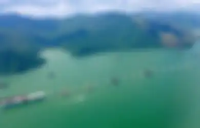 Bukan di China, Jembatan Terpanjang di Dunia Ternyata Ada di Hong Kong