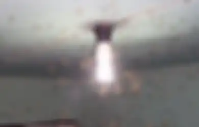 Laron Memiliki Kebiasaan Mengerubuti Lampu, Ternyata Alasan Dibaliknya Menyedihkan!