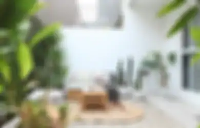 Tak Jadi Tempat Jemuran, Teras Belakang Ini Berubah Jadi Taman Kering yang Cantik
