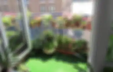 Mau Berkebun di Rumah? Mulailah dengan 7 Jenis Tanaman yang Paling Mudah Tumbuh Ini
