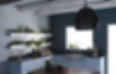 Berbagi IDEA 6 Tips Berkebun Tanaman Herbal di Dapur, Bisa Gunakan Pipa PVC!