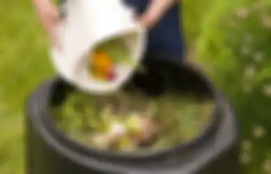 Cegah Sumber Penyakit, Ini 3 Langkah Cerdas Kurangi Sampah di Dapur