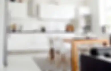 Ini Dia Tips Mencegah dan Membasmi Kecoak di Rumah Jelang Musim Hujan