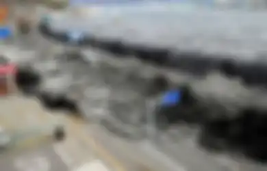 Pantai Selatan Jatim Berpotensi Diguncang Gempa Dahsyat dan Tsunami Setinggi 29 Meter, Pakar Geologi ITS Minta Pemerintah Sosialisasikan Rumus 20-20-20, Amien Widodo: Belajar dari Yogyakarta