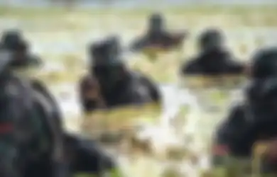 Buru Teroris MIT Ali Kalora yang Renggut 4 Warga Desa, Ini Kehebatan Pasukan Paling Elite TNI, Kebanggaan Panglima Hadi Tjahjanto: Keberhasilan Operasi Dekati 100 Persen
