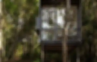 Lokasinya di Tengah Hutan, Begini Penampakan Hotel Seluas 6 M Persegi