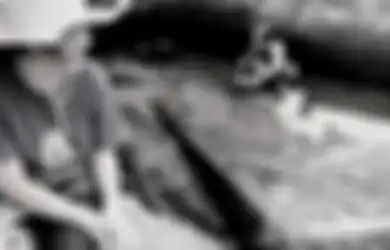 Kepala Laboratorium di Sulawesi Utara Tewas Setelah Diterkam Buaya Peliharaan