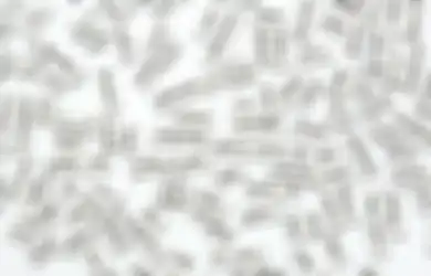 Selain Bahasa Inggris, Inilah 5 Skill Bahasa Asing yang Laku di Dunia Kerja, Boleh Banget Dipelajarin!