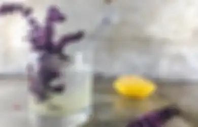 Tak Hanya Bisa di Makan, 7 Tanaman Ini Juga Ampuh Menjadi Alternatif Obat yang Alami