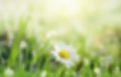Aroma Tanah Kena Air Hujan Ternyata Disebut Petrichor! Siapa Nih yang Suka?