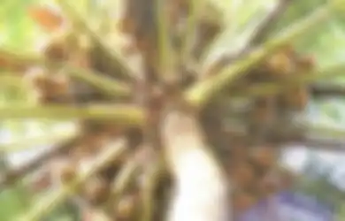 Kawin Lari ke Hutan Selama 23 Hari, Pasangan Ini Bisa Bertahan Hidup Dengan Cara Seperti Ini