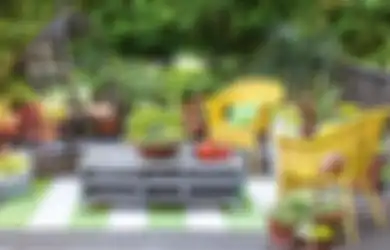 Mau Bikin Taman Kering di Rumah? Ikuti 5 Tips Berikut Sebelum Membuatnya