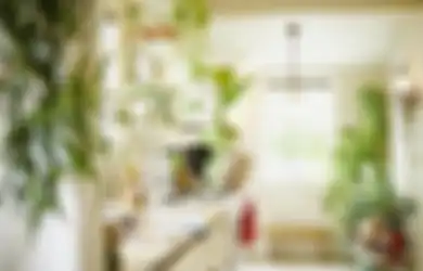 Membuat Ruang Lebih Sehat, Ini 6 Tips Mendekor Dapur dengan Tanaman