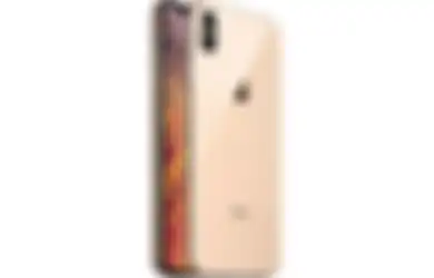 Harga HP Second iPhone XS Max 256GB September 2022, Masih Bagus!