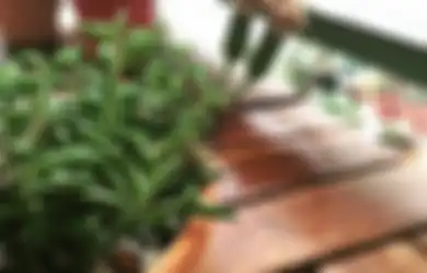 Kebangetan Baru Tau, Ternyata Minyak Goreng Bisa Buat Ulat Tanaman Terkapar Tak Berdaya, Begini Caranya!
