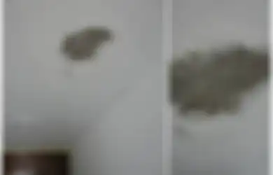 Picu Penyakit Mengerikan, Waspadai Tampilan Plafon Rumah yang Bernoda Seperti Ini, Bisa Jadi Akibat Jamur!