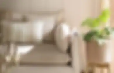 Terkena Tumpahan Makanan? Inilah 4 Langkah Bersihkan Pelapis Sofa