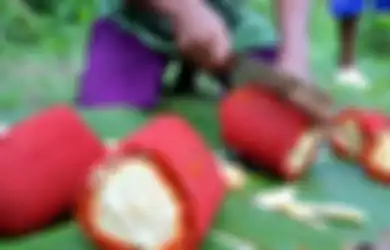 Konon Bisa Obati Kanker Hingga Kolesterol, Buah Merah dari Papua Ternyata Bisa Dikonsumsi dengan Mudah, Begini Caranya
