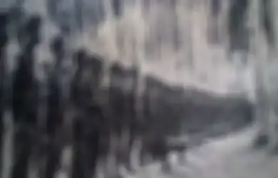 60 Tahun Jadi Perisai Negara, Kostrad Punya Perjuangan Panjang Sebelum Dibentuk Secara Sempurna, Berawal dari Panasnya Konflik Irian Barat, Berikut Sejarahnya...