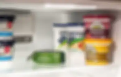 Ada yang Sadar? Mengapa Bagian Freezer Tak Dipasangi Lampu?