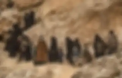 Padahal Sudah Dimusnahkan Kaki Tangan Trump, ISIS Ternyata Masih Bersisa, Pasukan Remah-remahnya Buat Ulah Bom dan Serang Penjara di Afghanistan 