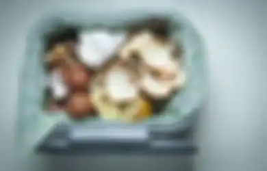 Bagus untuk Tanaman, Inilah Cara Buat Kompos di Rumah dengan Sisa Makanan Tanpa Berbau