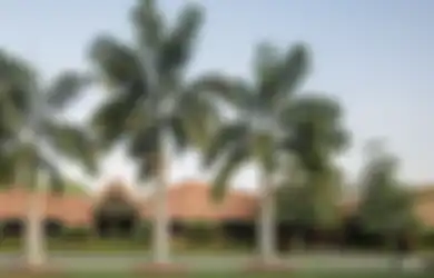 Rumah Ini Hampir Seluruhnya Terbuat dari Batu Bata, Termasuk Atapnya!