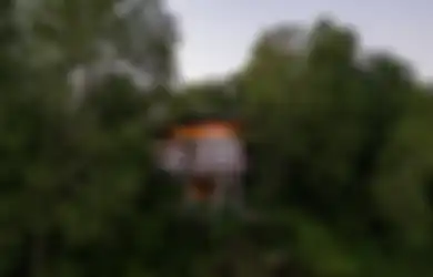 Dirancang Lebih Tinggi, Rumah ini Tawarkan Pemandangan Alam Sekitar