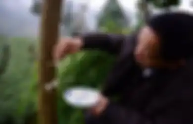 Meniliki Kebiasaan Aneh Warga Lokal di Cina yang Suka 'Memberi Makan' Pohon, Siapa Sangka Benar-benar Bikin Subur!