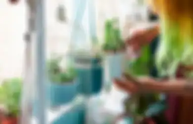 Ibu Asal Australia Ini Bagikan Tips Sederhana untuk Selamatkan Tanaman Kering di Rumah