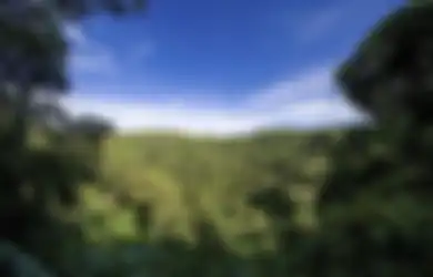 Apa Saja yang Dapat Kita Lakukan untuk Memperbaharui Sumber Daya Alam? Kunci Jawaban Soal TVRI untuk SD Kelas 4-6 Rabu 29 Juli 2020