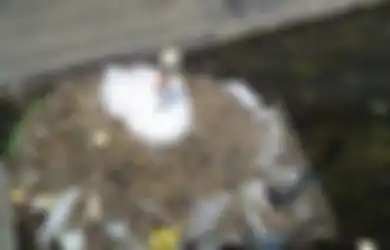 Kelola Sampah Plastik dengan Benar, Jangan Pernah Dibakar Ya!