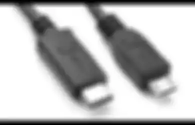 Perbedaan Dasar Kabel USB Type-C dan micro-USB yang Perlu Diketahui